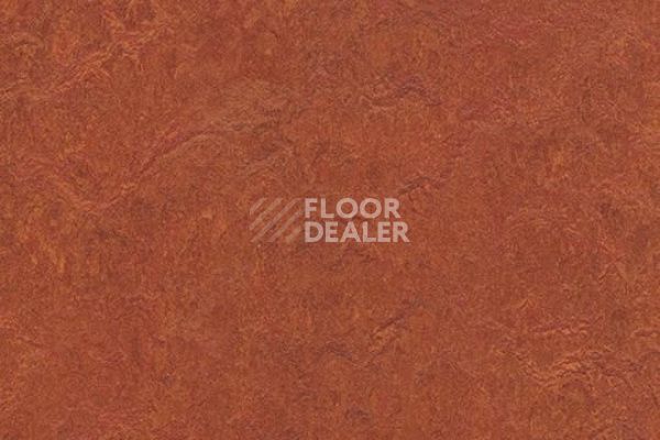 Линолеум Marmoleum Decibel on Order 320335 henna фото 1 | FLOORDEALER